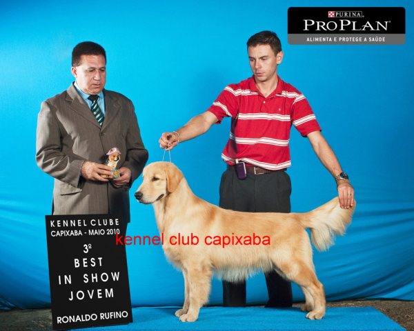 Clique sobre a foto para fechar